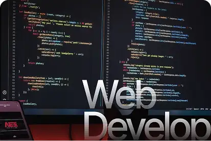 Web Development 